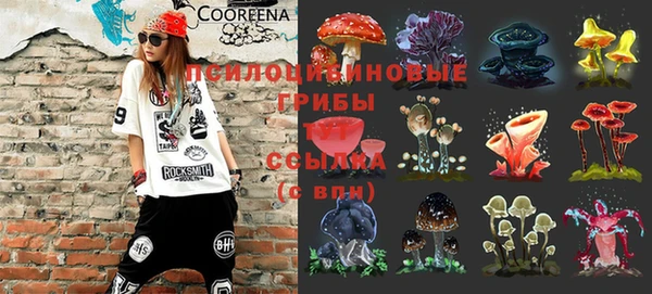 МДПВ Михайловск