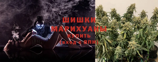 PSILOCYBIN Струнино