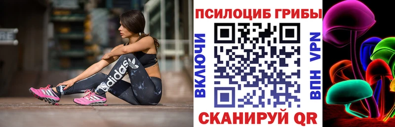 Галлюциногенные грибы Psilocybine cubensis  blacksprut зеркало  Уяр 